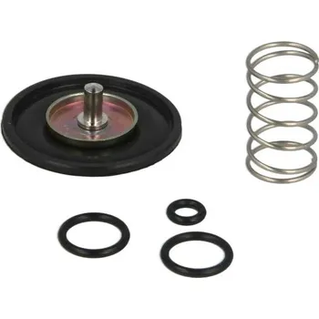 Palivový systém pro motocykl TOURMAX Opravná sada odpojovacího ventilu vzduchu HONDA GL 1000 75-79