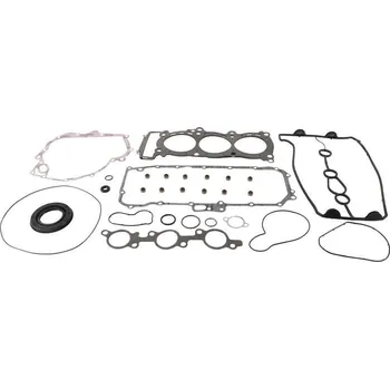 Těsnění motoru Winderosa sada těsnění motoru (s olejovým těsněním) Yamaha RS Vector LTX 09, RS Vector LTX