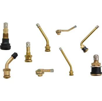 Bezdušové ventily TRUCK, BUS, AGRO, různé druhy - Ferdus Rozměr: délka 40 mm. otvor v disku 16 mm. 1 ks