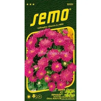 Semeno Astra čínská - Pinocchio šarlatový 0,3g