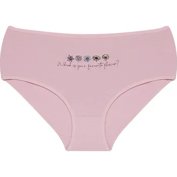 Kalhotky Donella Dámské kalhotky Mirka Barva: Šedá - světle, Velikost: 2XL