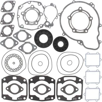 Těsnění motoru Winderosa sada těsnění motoru (s olejovým těsněním) Arctic Cat Tigershark 1000 97-98, Tige