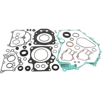 Těsnění motoru Winderosa sada těsnění motoru (s olejovým těsněním) Honda TRX500FA 18