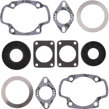 Těsnění motoru Winderosa sada těsnění motoru (s olejovým těsněním) Arctic Cat El Tigre 250 Z (Kawaski) FA