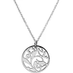 Pierre Lannier Půvabný ocelový náhrdelník Eolia JB17A110 + 2 měsíce na vrácení zboží