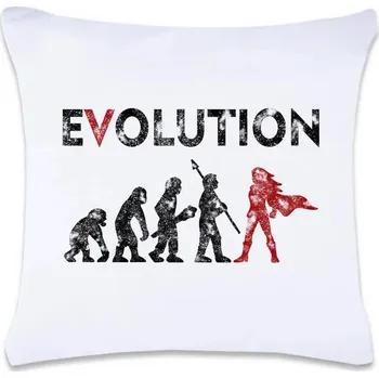 Dekorativní polštářek DOBRÝ TRIKO Polštář s potiskem Evoluce hrdinky 40 x 40 cm Oboustranný tisk: NE