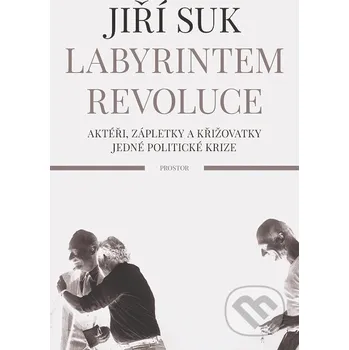 Kniha Labyrintem revoluce - Jiří Suk Prostor