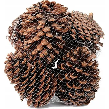 Vánoční dekorace Šišky , přírodní šiška , dekorace, dekorace , vánoční 8x11cm/6 kusů