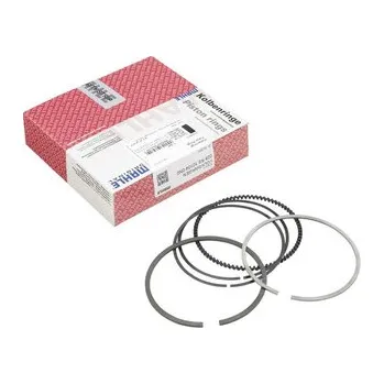 Píst motoru Pístní kroužky STD IVECO EuroCargo TECTOR 2006-2015 2992560 009 93 N0