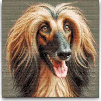 Diamantové malování Diamantové malování - Afghánský chrt Velikost: 50x50cm, Rámování: Pouze srolované plátno, Diamanty: Kulaté