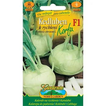 Semeno Nohel Garden Kedluben k rychlení KORFU F1 - hybrid, bílý