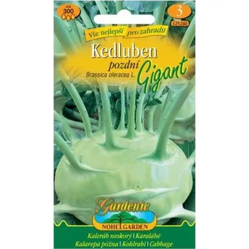 Semeno Nohel Garden Kedluben pozdní GIGANT, bílý
