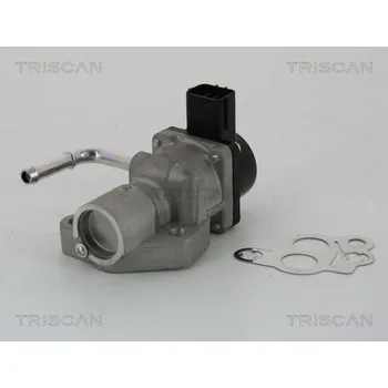 Ventil palivového systému AGR-Ventil TRISCAN 8813 10014