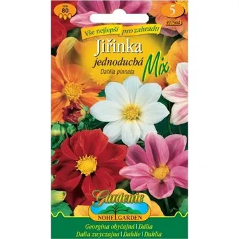 Pěstitelství Nohel Garden Jiřinka jednoduchá