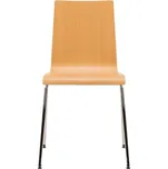 ANTARES Konferenční židle ELSI LC