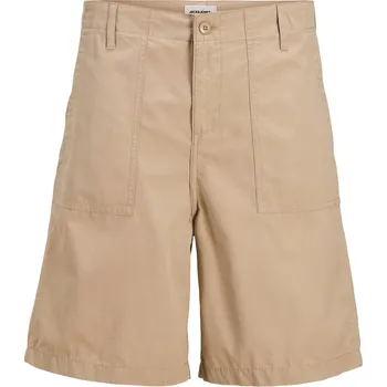 Pánské oblečení Kraťasy Jack and Jones Crockery 1072772 M