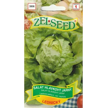 Semeno Salát hlávkový Lednický (jarní) 12/2026