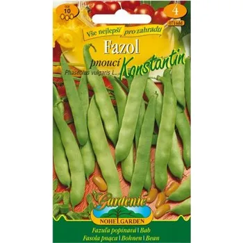 Pěstitelství Nohel Garden Fazol pnoucí KONSTANTIN, zelený