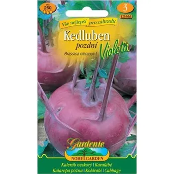 Semeno Nohel Garden Kedluben pozdní VIOLETA, modrý