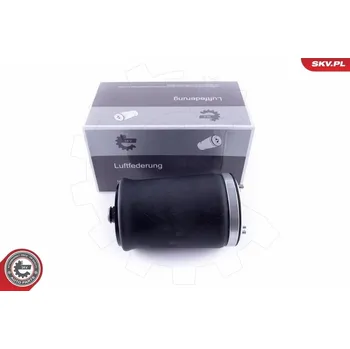 Vzduchová pružina, podvozek ESEN SKV 58SKV004