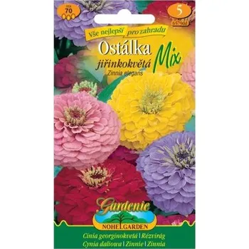 Pěstitelství Nohel Garden Ostálka lepá jiřinkokvětá, směs
