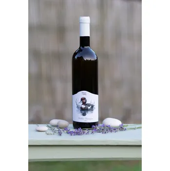 Müller Thurgau 2023, české zemské víno, Vinařství Geltschberg, suché