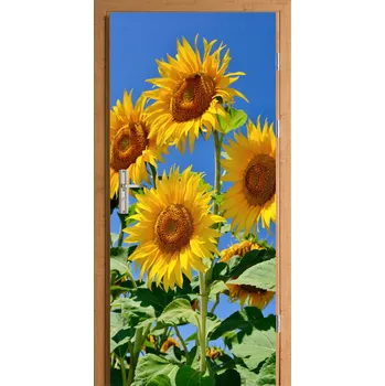 Fototapeta Samolepka na dveře samolepicí - slunečnice a květiny