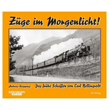Züge im Morgenlicht - Knipping, Andreas
