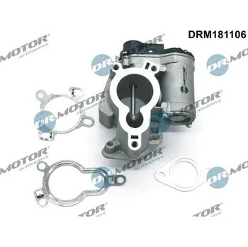 Ventil palivového systému AGR-Ventil Dr.Motor Automotive DRM181106