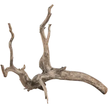 Dekorace do akvária Sera Scaper Root XS 18 - 20cm (Sera Filigránový kořen - dřevo XS 18 - 20cm)