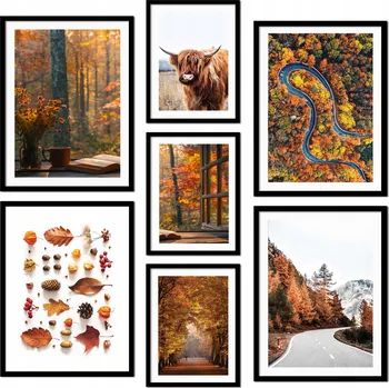 Obraz Plakát Sada 7 plakátů bez rámu, 100 x 100 cm