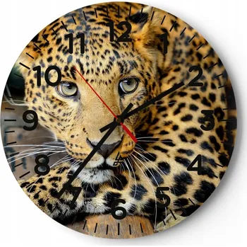 Hodiny Nástěnné hodiny do obýváku 40x40 Zvířata Kulatý Skleněné hodiny Loft Tiché