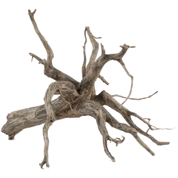 Dekorace do akvária Sera Scaper Root M 30 – 35cm (Sera Filigránový kořen - dřevo M 30 – 35cm)