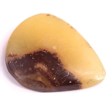 Přírodní kámen Kabošon Septarian č.3579 (33x27x6mm)