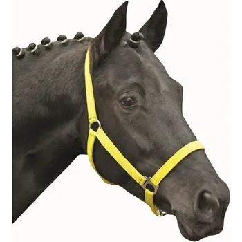 Vybavení pro koně Stájová neonová ohlávka HKM, Full - Světle zelená