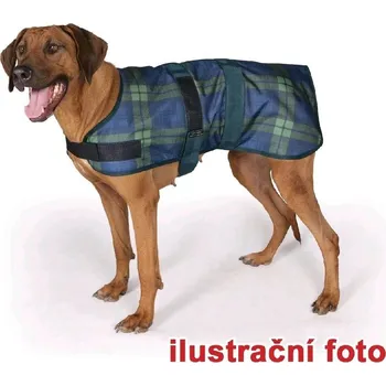 Obleček pro psa Obleček Derby zelený