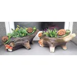 Prodex Import Obal pařez se šneky 2 druhy