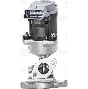 Ventil palivového systému AGR-Ventil VALEO 700423