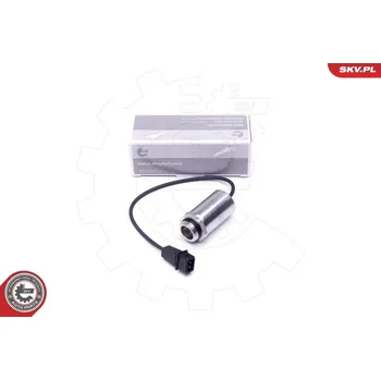 Ventil motoru Řídicí ventil, seřízení vačkového hřídele ESEN SKV 39SKV048