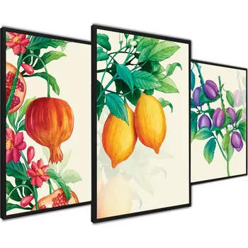 Obraz Plakát Kuchyňské Plakáty Triptych Citron bez rámu 40 x 50 cm