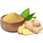 Zázvor BIO prášek 1 kg