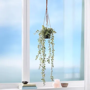 umělá květina Die moderne Hausfrau Umělá závěsná rostlina Eukalyptus 473567