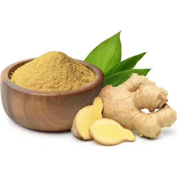 Sušená zelenina Zázvor BIO prášek - MámeChuť 100 g