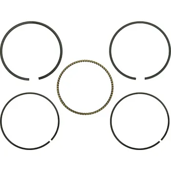 Píst motoru NAMURA pístní kroužky ARCTIC CAT 300 DVX 09-17, KAWASAKI KVF 300 BRUTE FORCE 12-17, KYMCO MXU 300 / MAXXER 300 05-10, (průměr válce 73,25mm = + (NAMURA pístní kroužky ARCTIC CAT 300 DVX 09-17, KAWASAKI KVF 300 BRUTE FORCE 12-17, KYMCO MXU 300 / MAXXER 300