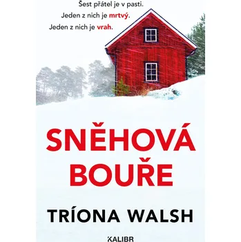 Kniha Sněhová bouře - Triona Walsh (E-Kniha)