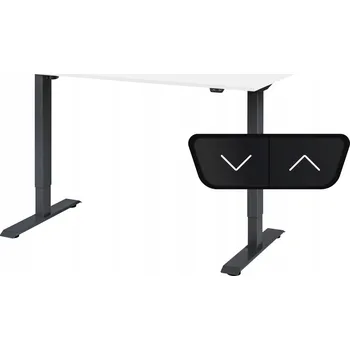 Psací stůl Obdélníkový psací stůl ProErgo 120 x 80 x 121 cm černý