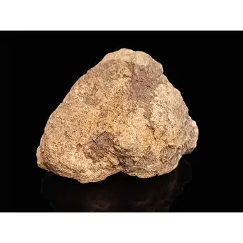 Sběratelství Meteorit | Chondrit | Al Haggounia 001 | 80-100 g