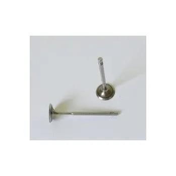 Ventil motoru Ventil sací OCTAVIA, pro RAPID, NH. Typové číslo: 122020244,122020244,122020244, 036109601AD