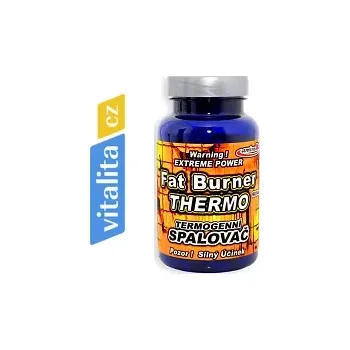Spalovač tuku Spalovač tuku – THERMO Fat Burner - s výborným účinkem (AKCE – 90 tablet)