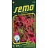 Semeno SEMO Africká kopřiva Koleus Colocha Rose 40 ks